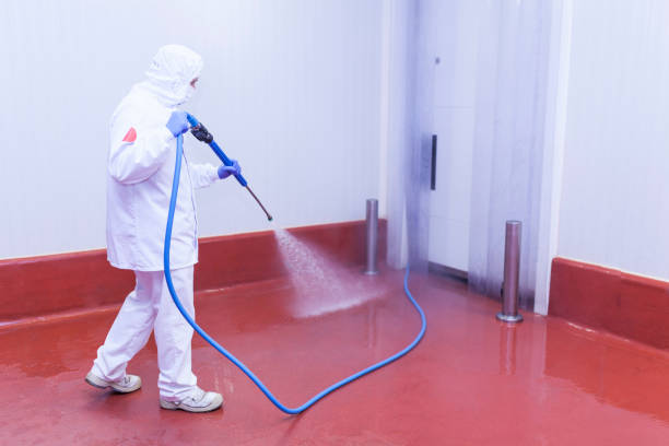 Best Fleet Vehicle Washing  in Roosevelt, NJ