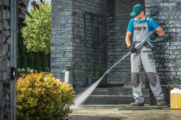 Best Driveway Pressure Washing  in Roosevelt, NJ